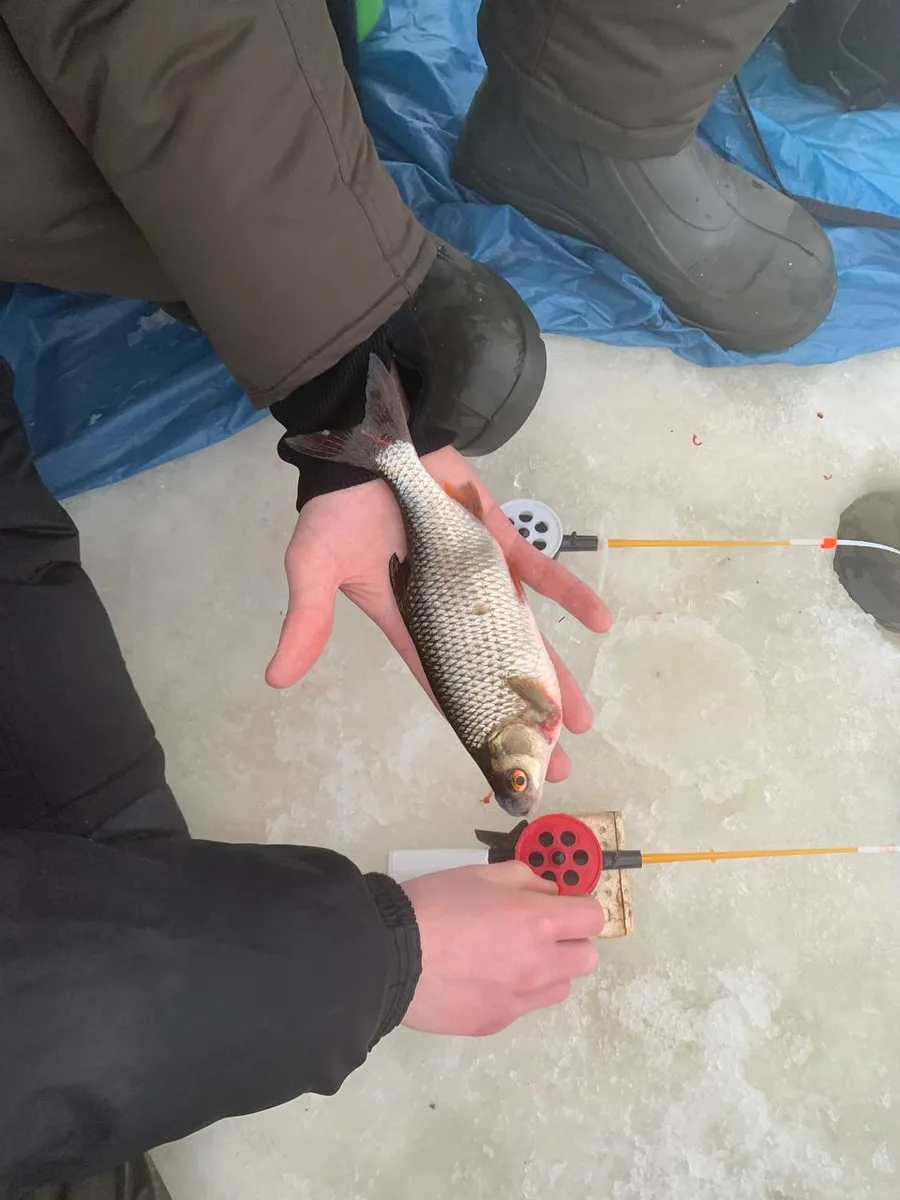 Фото улова