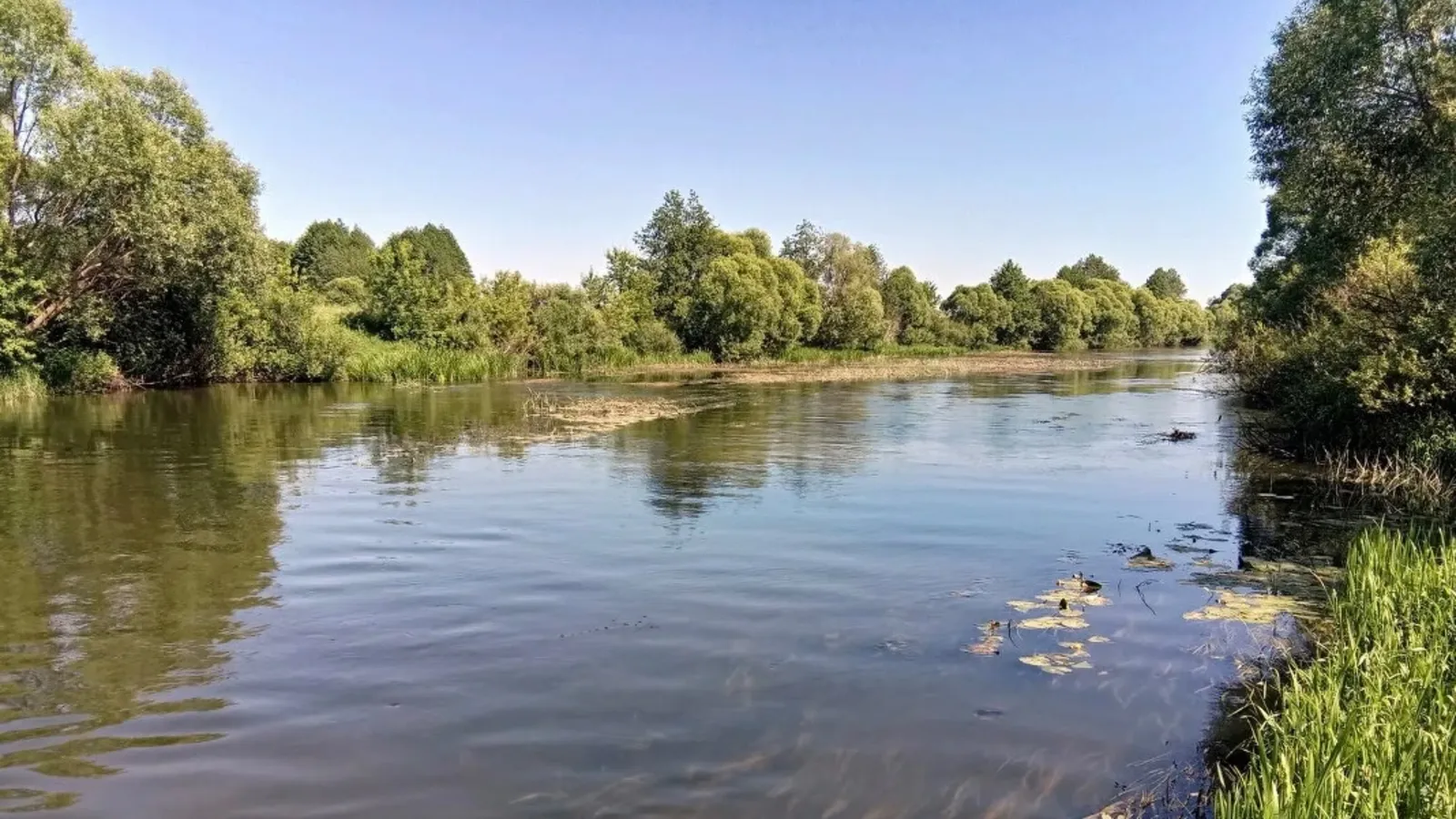 Фото улова