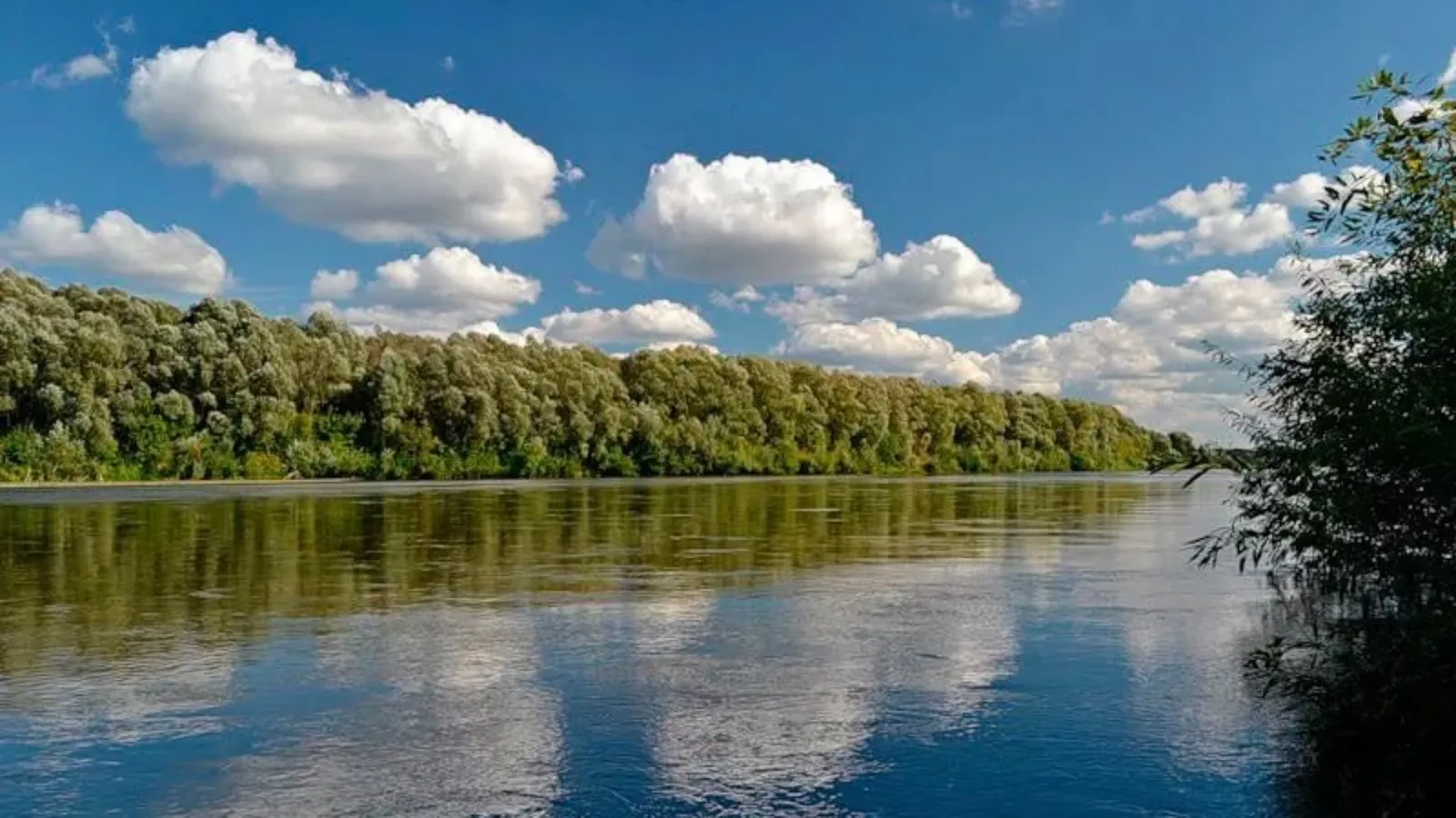 Фото улова
