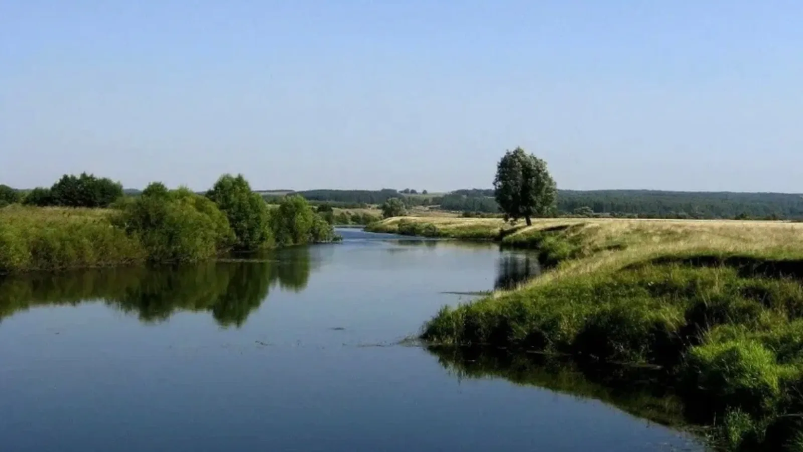 Фото улова