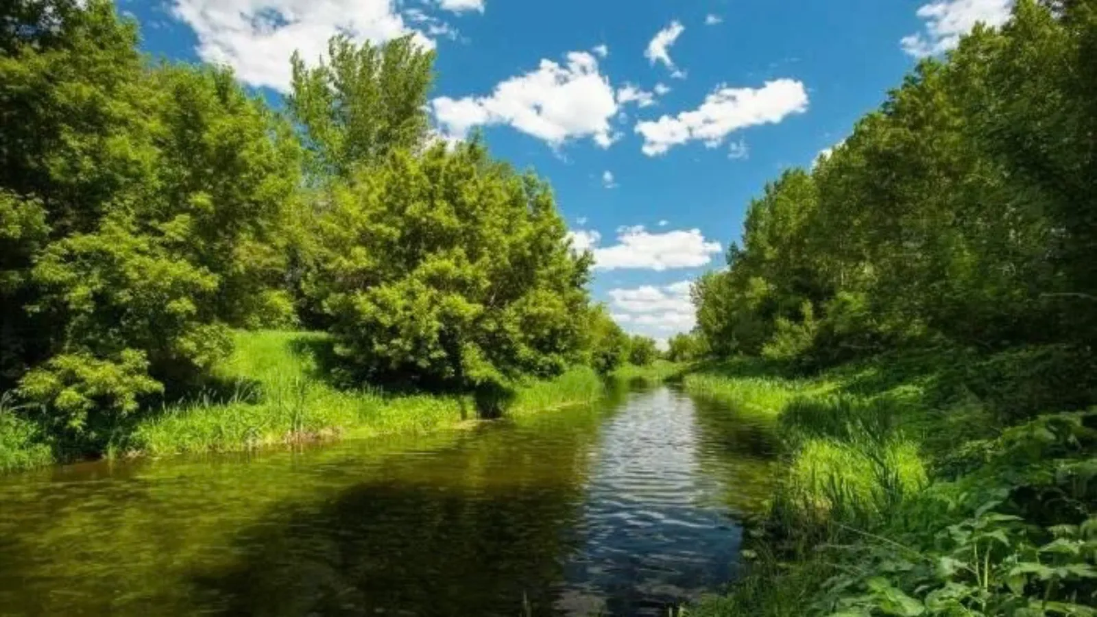 Фото улова