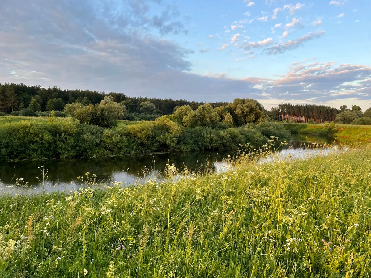 Фото улова